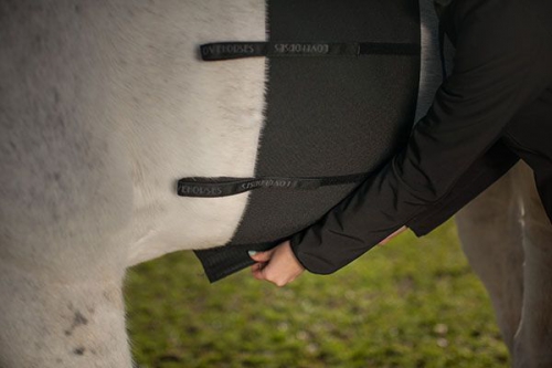 BODY BANDAGE SVART LOVE HORSES i gruppen Hst / Sadeltillbehr / vrigt sadeltillbehr hos Charlies Hst (2079340120)