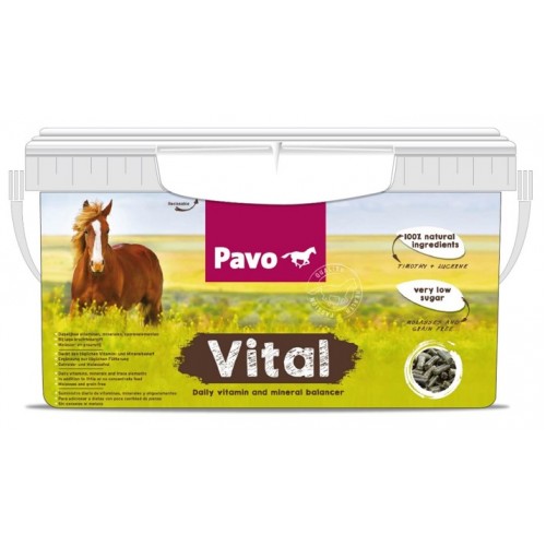 Pavo Vital Hink 8kg i gruppen Hst / Tillskott / Vitaminer & Mineraler hos Charlies Hst (507427742008)