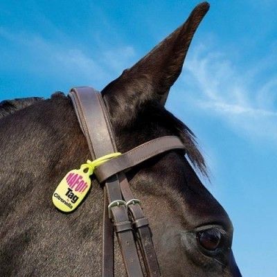 Off Citronella Tag 2 Pack i gruppen Häst / Skötsel / Insektsskydd hos Charlies Häst (202226010200)