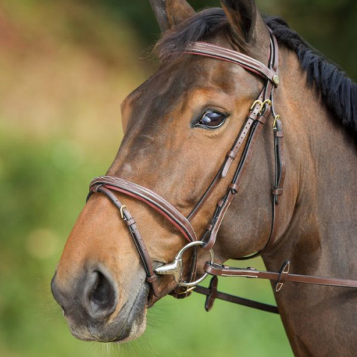 Comfort Träns Brun i gruppen Kampanjer / Horse Show Erbjudande Elmia / Hose Show Erbjudande - minst 10% Rabatt!* hos Charlies Häst (2025010360)
