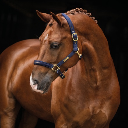Hs Grimma Navy i gruppen Kampanjer / Horse Show Erbjudande Elmia / 20% på Grimmor hos Charlies Häst (2035021830)
