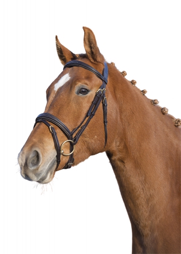 Gen-X Fancy Träns Brun i gruppen Kampanjer / Horse Show Erbjudande Elmia / Hose Show Erbjudande - minst 10% Rabatt!* hos Charlies Häst (2036011160)