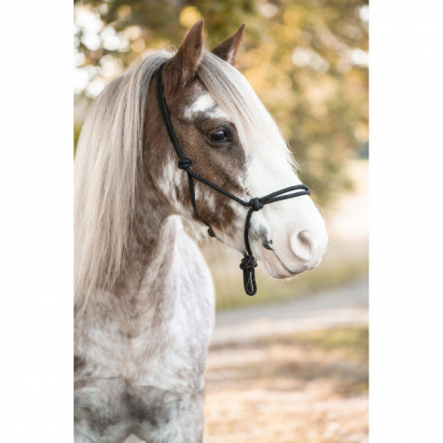 Repgrimma Svart i gruppen Kampanjer / Horse Show Erbjudande / 20% på Grimmor hos Charlies Häst (2036024320)