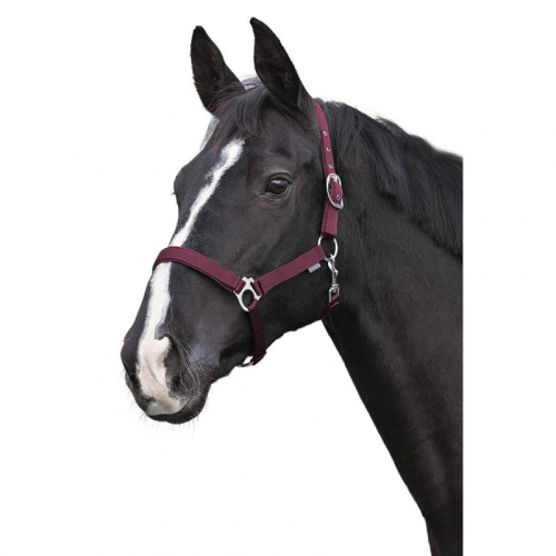 Nylongrimma Fodrad i gruppen Kampanjer / Horse Show Erbjudande / 20% på Grimmor hos Charlies Häst (2036025830)