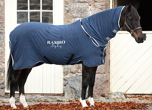 RAMBO DRY RUG NAVY/SILVER i gruppen Häst / Hästtäcken / Fleece/Svettäcken hos Charlies Häst (2044056430)