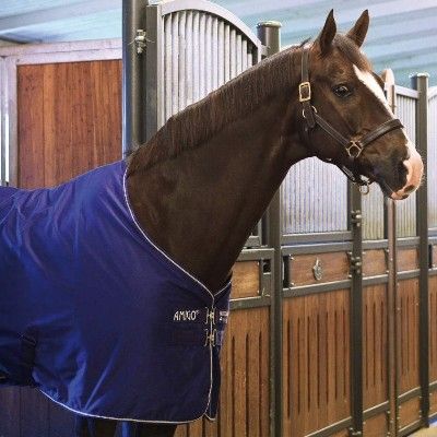 Amigo Stable Sheet X Sur Poly i gruppen Kampanjer / Horse Show Erbjudande Elmia / 20% på Täcken hos Charlies Häst (2044064830)