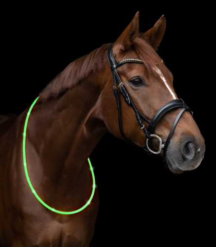 Led Light Collar For Horses Green 150cm i gruppen Kampanjer / Rabattkod hos Charlies Hst (208533025000)