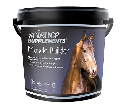 MUSCLE BUILDER SCIENCE SUPPLEMENTS 0,8 KG i gruppen Häst / Tillskott / Leder & Muskler hos Charlies Häst (209127120000)