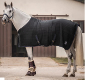 Classic Wool Evolution Transport/Stable Rug Navy