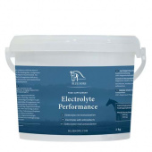 BLUE HORS ELECTROLYT DAILY 25*30G