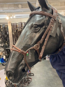Träns "Rounded Noseband" Equiline Full Brun