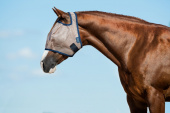 MIO FLYMASK WITHOUY EARS HORSEWARE