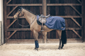 Riding Rug All Weather 160 Gram