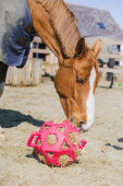 Relax Horse Play & Hay Ball Kentucky Pink