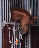 Horse Toy Box Hanger Horse/Unicorn/Carrot QHP