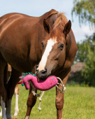 Horse Toy Unicorn