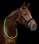 Led Light Collar For Horses Green 150cm